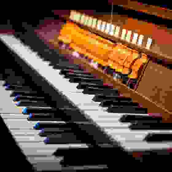 Organ bursary